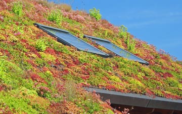 Wildhern living roof systems