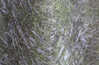 Wildhern fibreglass roof work